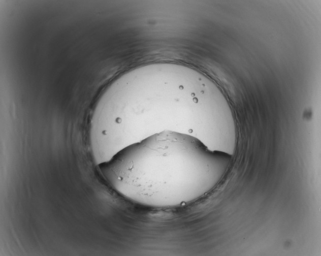 X0000102760362200808180937