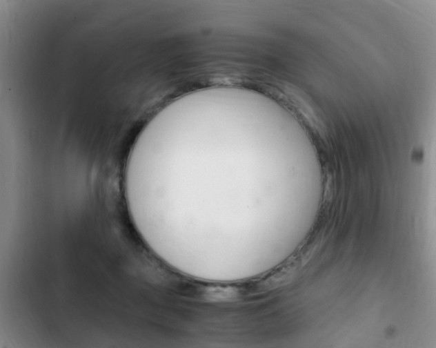 X0000102760363200808180937