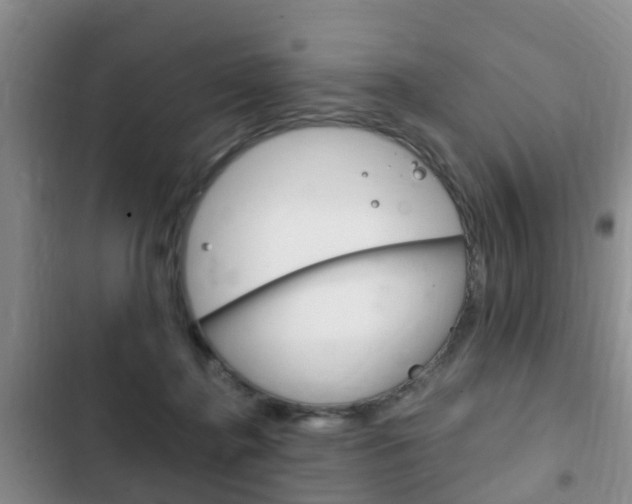 X0000102760364200808180937