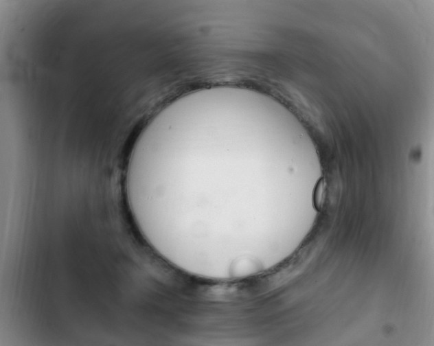 X0000102760366200808180937
