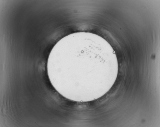 X0000102760368200808180937