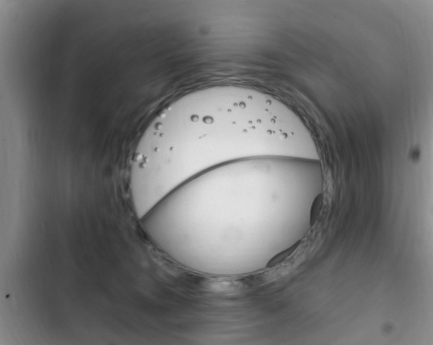 X0000102760372200808180937