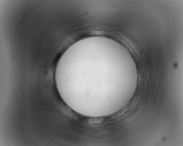 X0000102760373200808180937