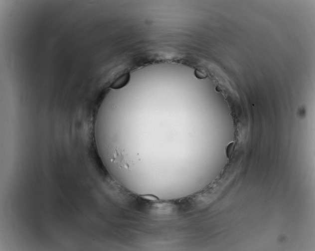 X0000102760376200808180937