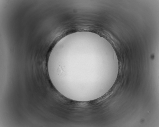 X0000102760377200808180937