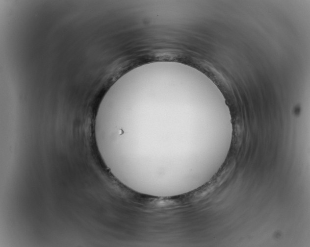 X0000102760379200808180937