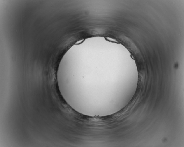 X0000102760380200808180937