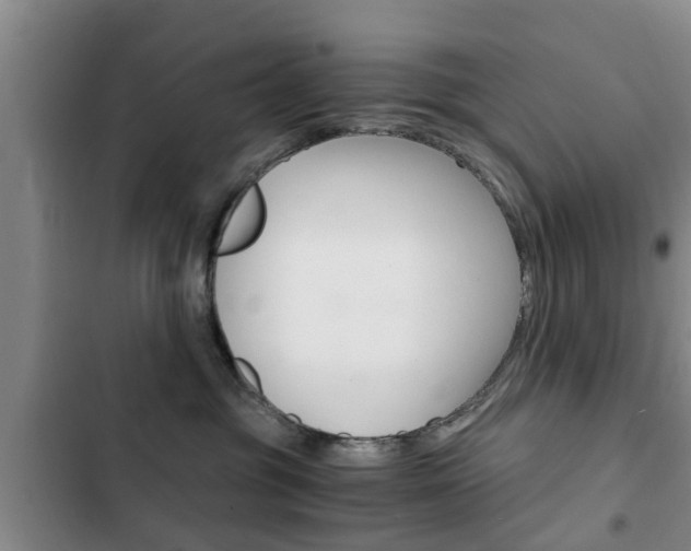 X0000102760381200808180937