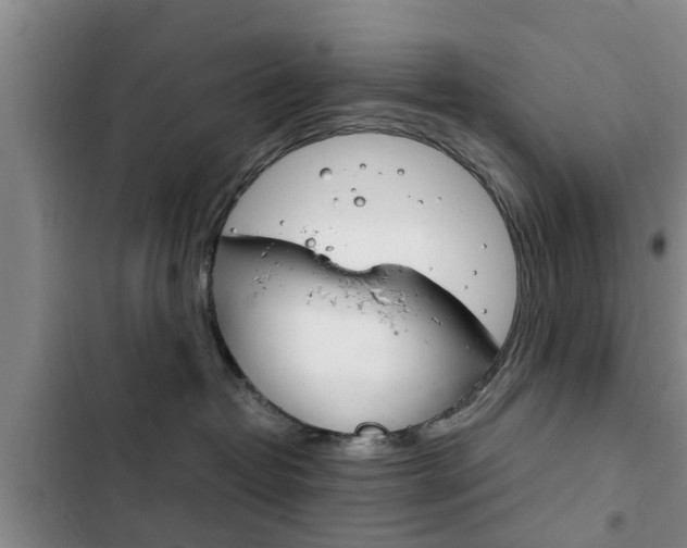 X0000102760382200808180937