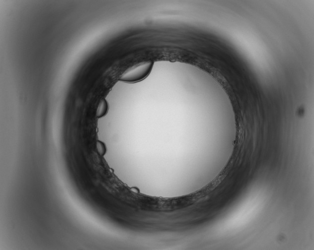 X0000102760383200808180937