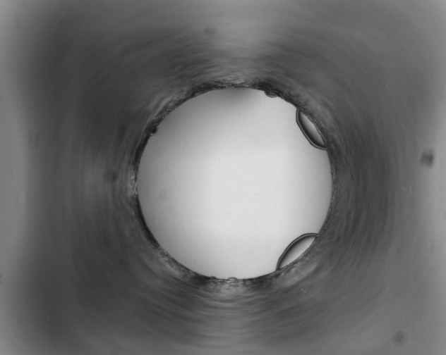 X0000102760384200808180937