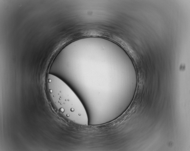 X0000102760386200808180936
