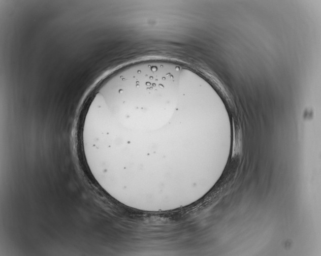 X0000102760387200808180936
