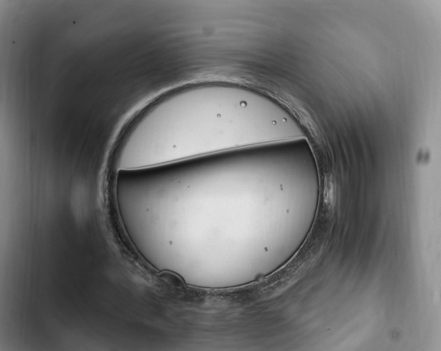 X0000102760388200808180936