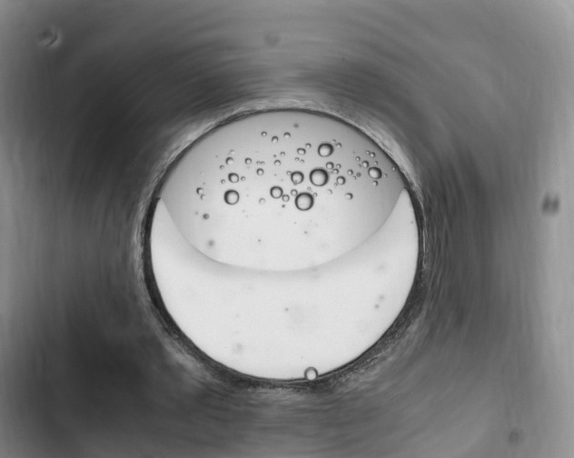 X0000102760389200808180936