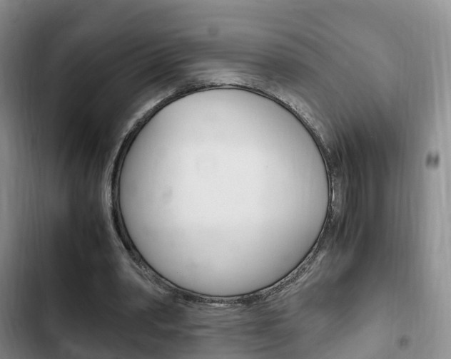 X0000102760390200808180936