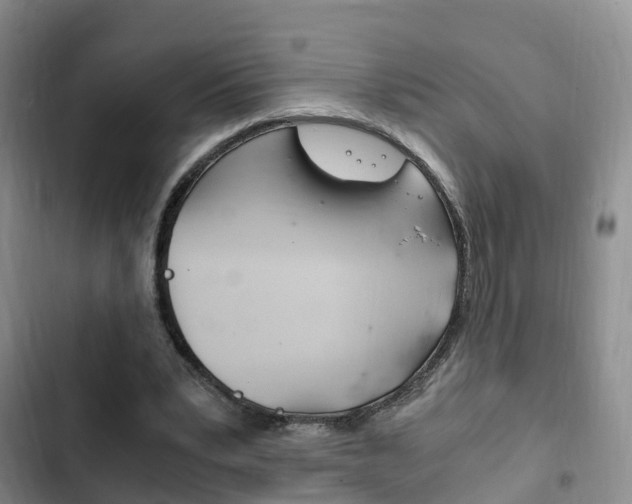 X0000102760391200808180936