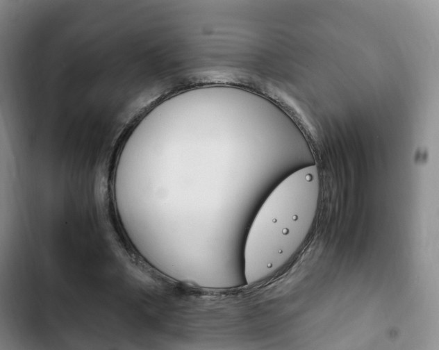 X0000102760394200808180936