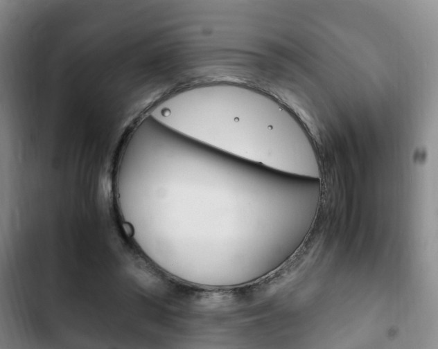 X0000102760398200808180936
