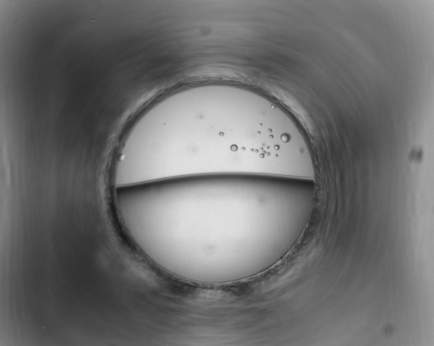 X0000102760399200808180936