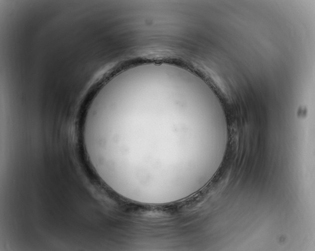 X0000102760400200808180936