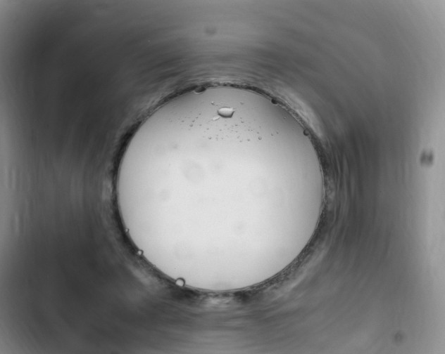 X0000102760401200808180936