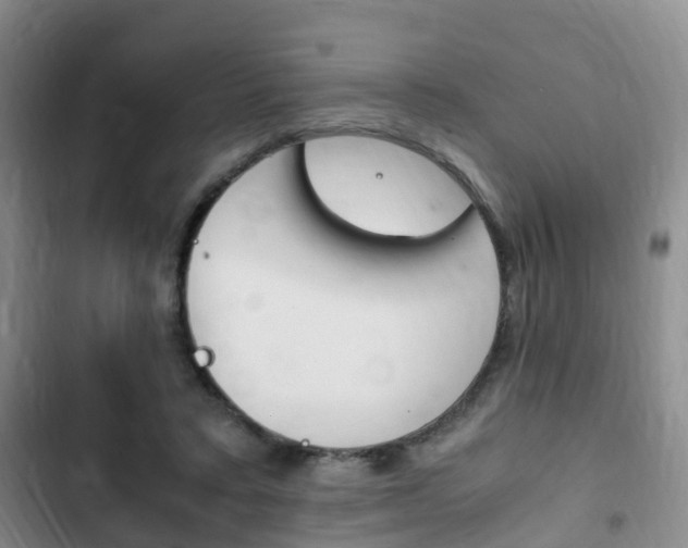 X0000102760403200808180936