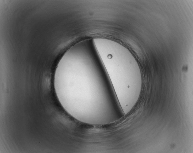 X0000102760404200808180936