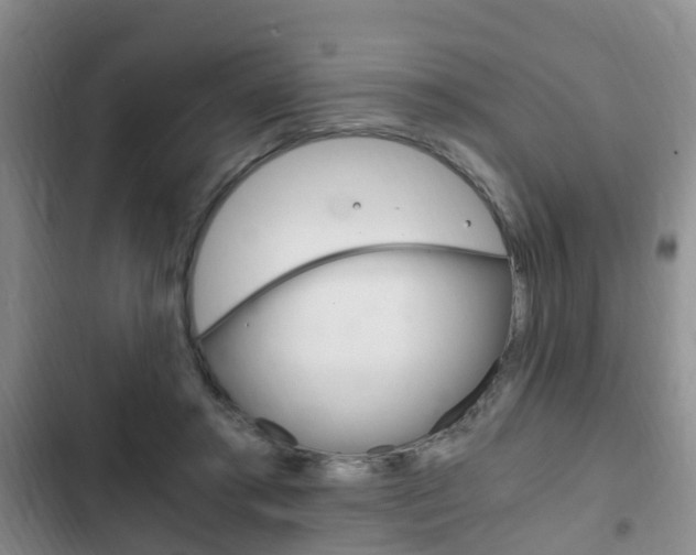 X0000102760405200808180936