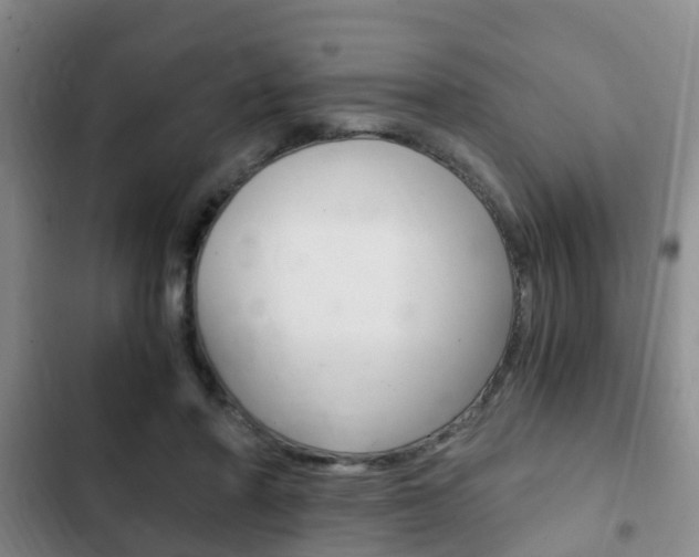 X0000102760406200808180936
