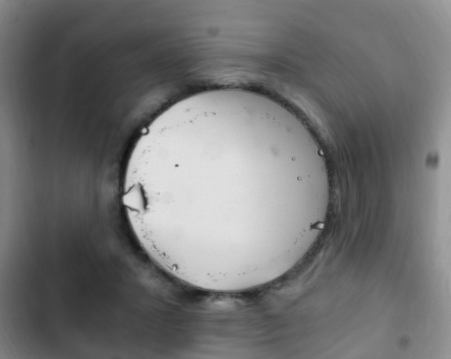 X0000102760407200808180936