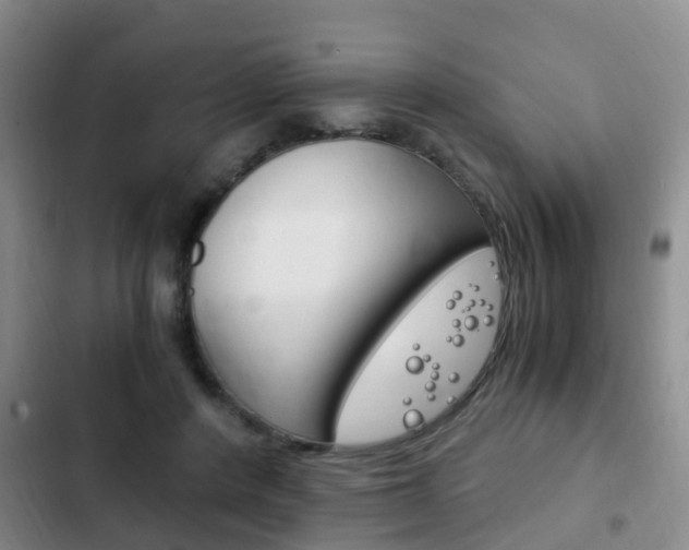 X0000102760408200808180936