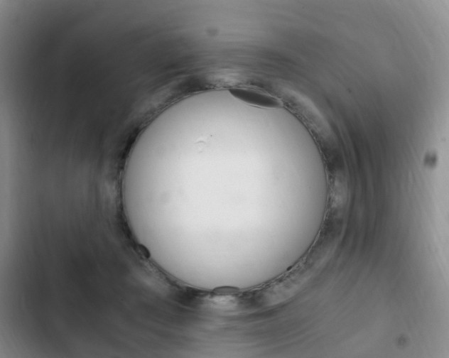 X0000102760409200808180936