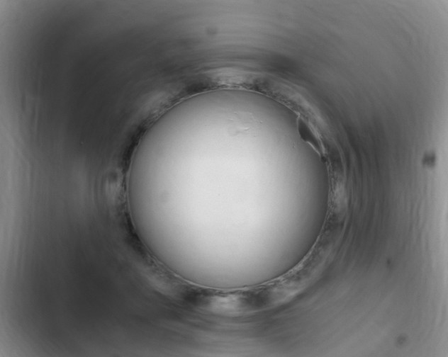 X0000102760411200808180936