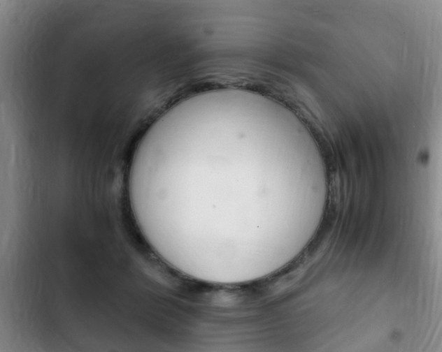 X0000102760412200808180936