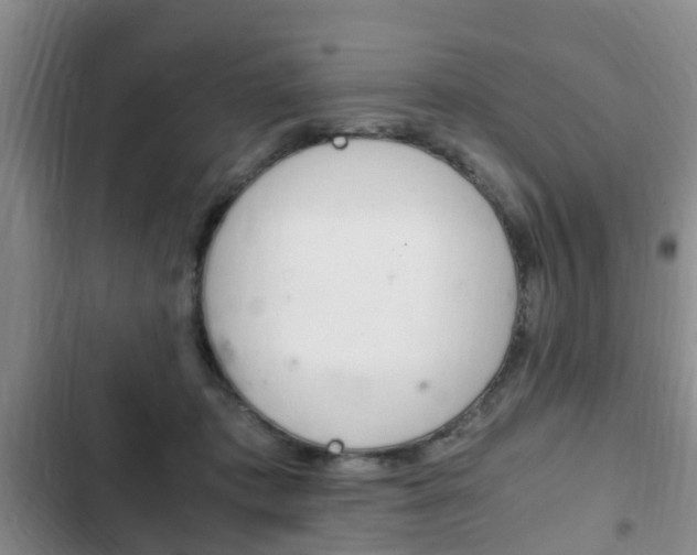 X0000102760413200808180936