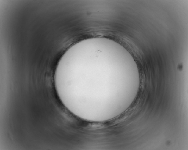 X0000102760414200808180936