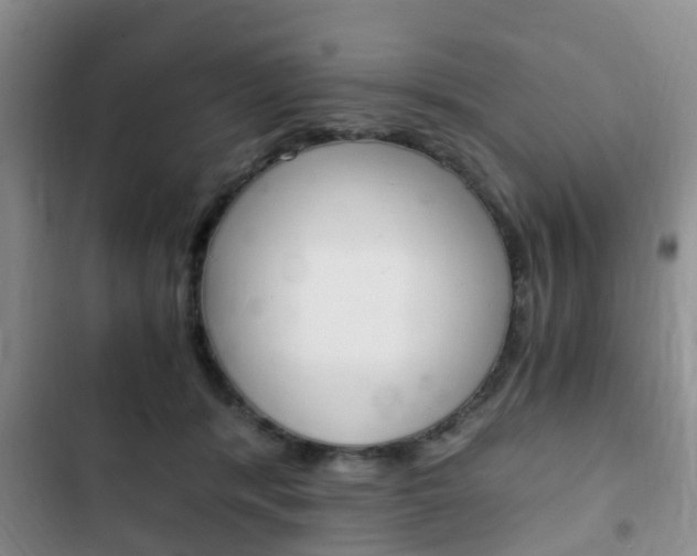 X0000102760416200808180936