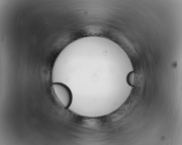 X0000102760417200808180936