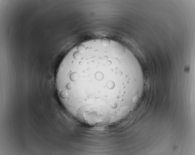 X0000102760418200808180936