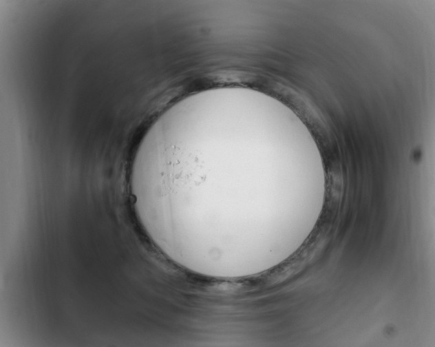 X0000102760422200808180936