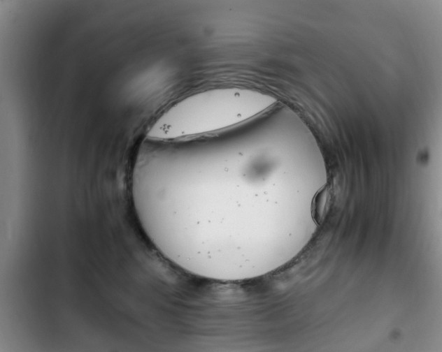 X0000102760424200808180936