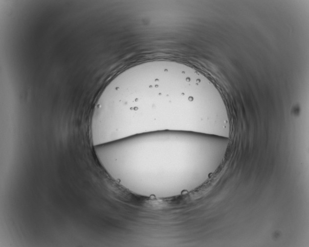 X0000102760425200808180936