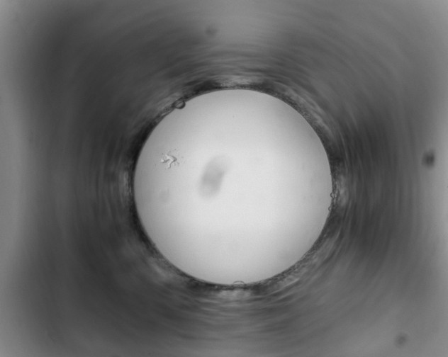 X0000102760426200808180936