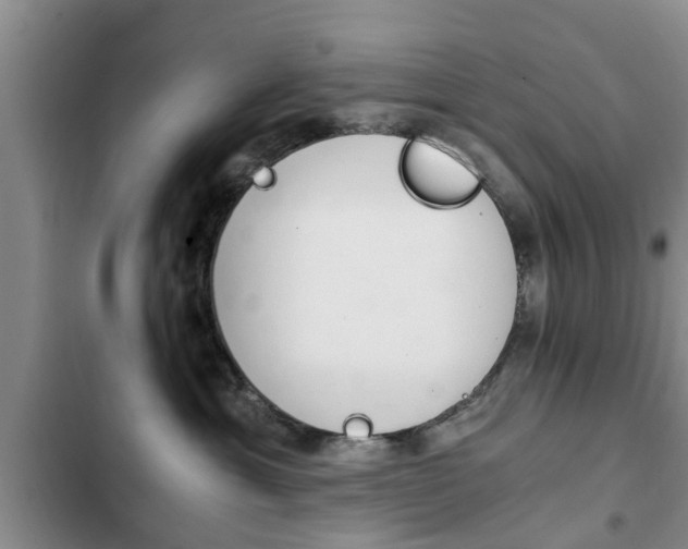 X0000102760429200808180936