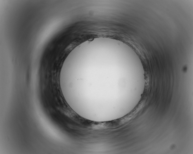 X0000102760430200808180936