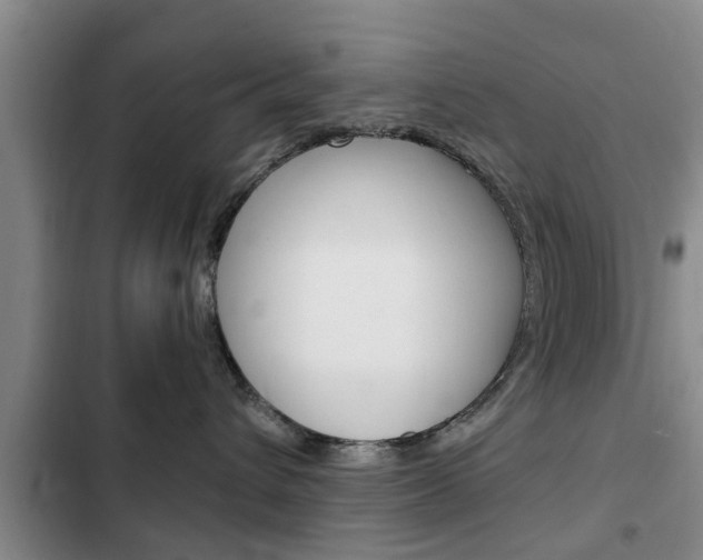 X0000102760432200808180936