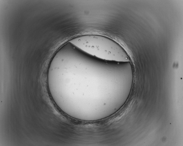 X0000102760433200808180935