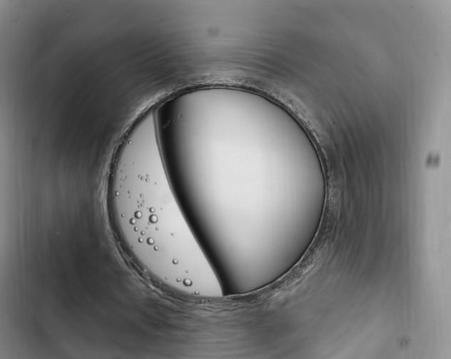 X0000102760434200808180935