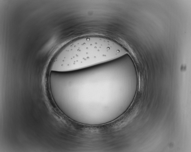 X0000102760435200808180935